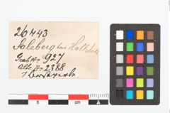 Etikett zu Bernsteinperle (NHMW-PRAE-026443)